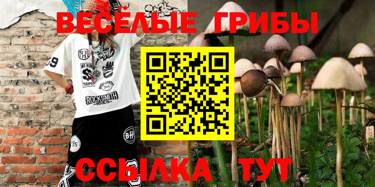 Псилоцибиновые грибы ЛСД  Вход с VPN  Псилоцибиновые грибы мицелий  Новокубанск 