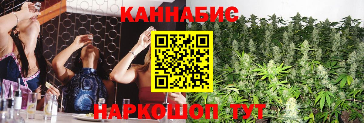 МАРИХУАНА индика Новокубанск